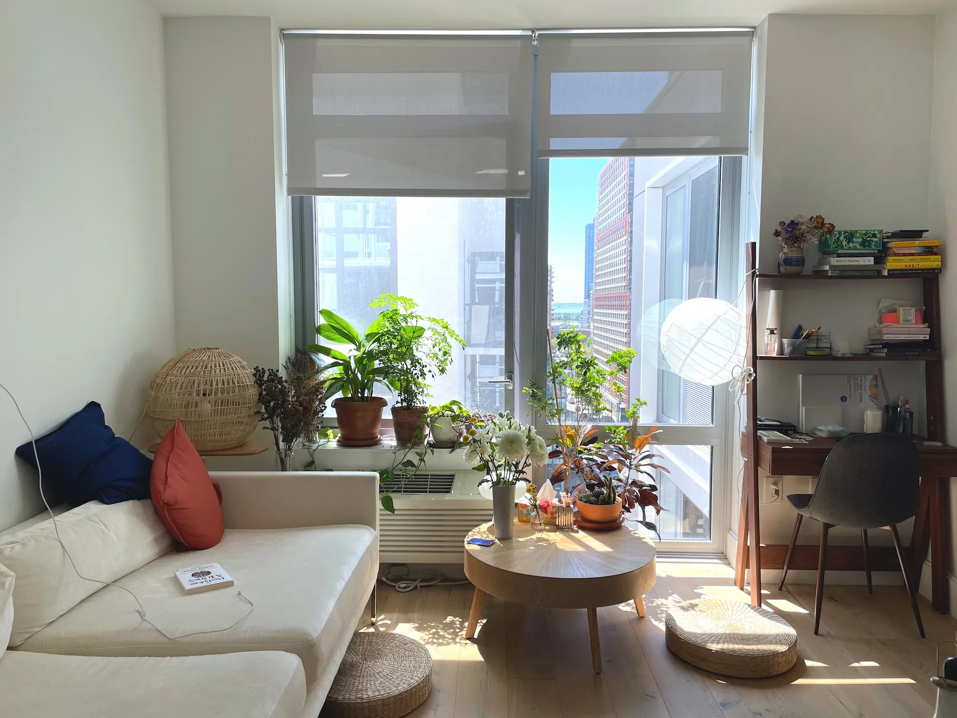 Bright NYC apartment interior